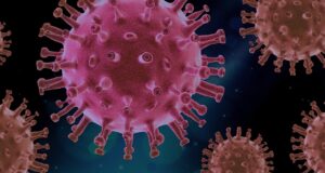 Qué es el coronavirus?