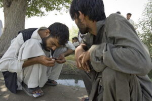 La guerra contra los medicamentos en Afganistán